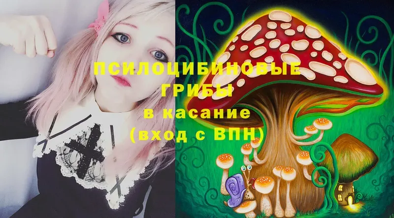 как найти закладки  Заозёрный  Галлюциногенные грибы Magic Shrooms 